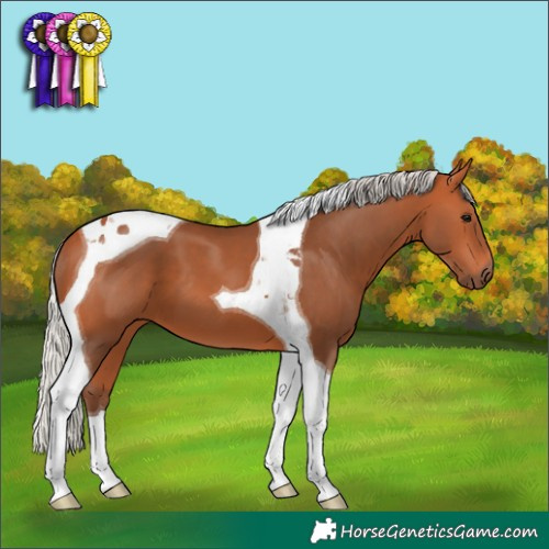 Horse Color:Silver Bay Tobiano 