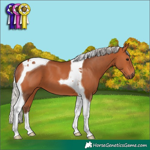 Horse Color:Silver Bay Tobiano