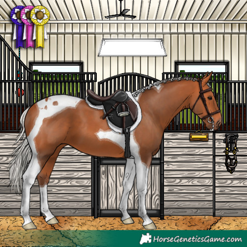 Horse Color:Silver Bay Tobiano 