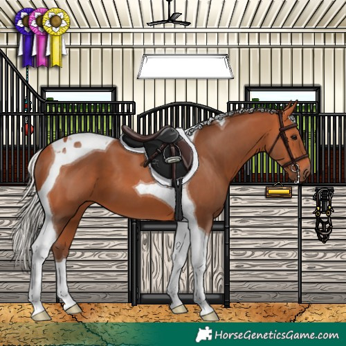 Horse Color:Silver Bay Tobiano 