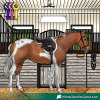 Horse Color:Silver Bay Tobiano
