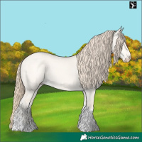 Horse Color:Perlino Dun Tobiano 
