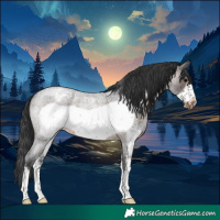 Horse Color:Brown Roan Sabino Frame Appaloosa