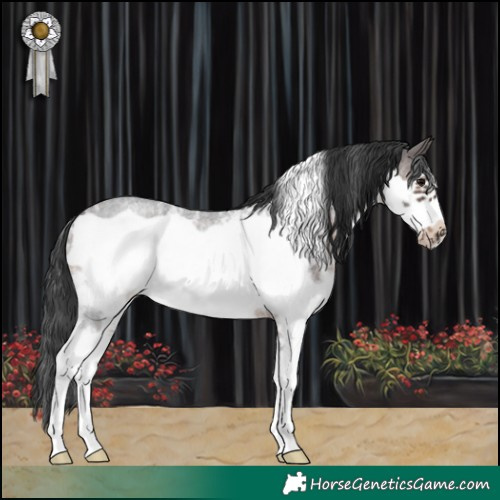 Horse Color:Brown Roan Sabino Frame Rabicano
