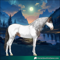 Horse Color:Brown Roan Tobiano Frame Appaloosa 
