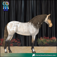Horse Color:Buckskin Roan Blanket 