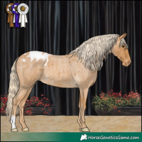 Horse Color:Palomino Roan Varnish