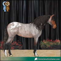 Horse Color:Bay Roan Varnish 