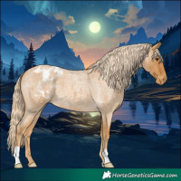Horse Color:Palomino Roan Varnish