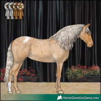 Horse Color:Palomino Roan Varnish
