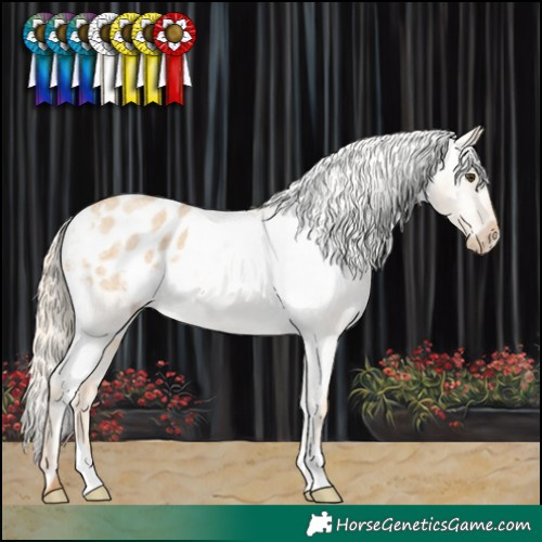 Horse Color:Palomino Roan Dun Appaloosa 
