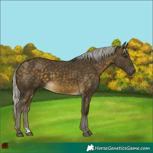 Horse Color:Silver Buckskin Sabino 