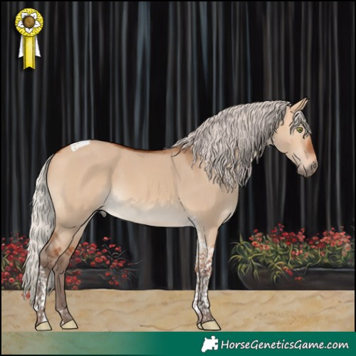 Horse Color:Silver Bay Dun Tobiano 