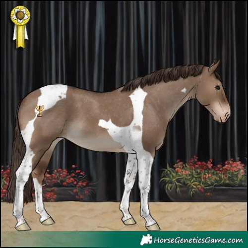 Horse Color:Liver Red Dun Tobiano Varnish 
