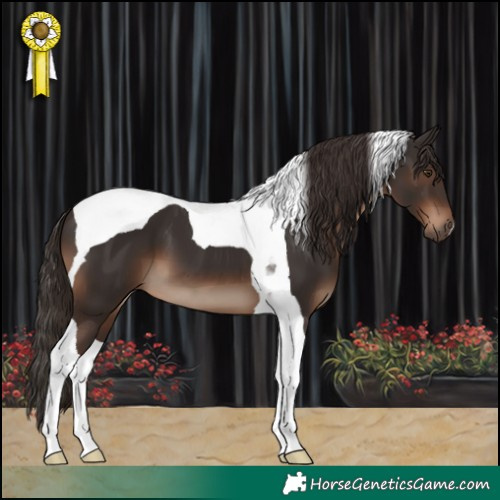 Horse Color:Liver Chestnut Tobiano 