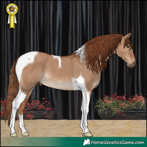 Horse Color:Red Dun Tobiano 