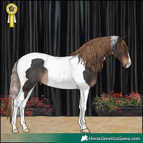 Horse Color:Liver Chestnut Tobiano Rabicano 