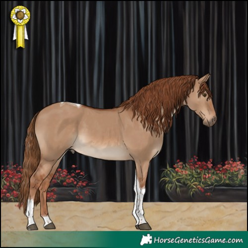 Horse Color:Red Dun Tobiano 