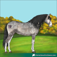 Horse Color:Blue Onyx Ice