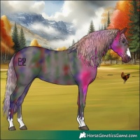 Horse Color:Nacre Liver Chestnut 