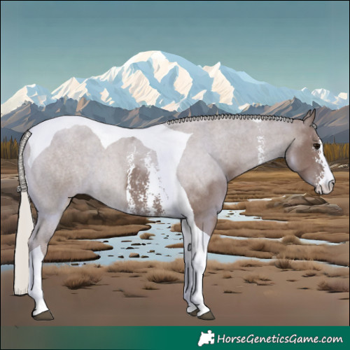 Horse Color:Silver Black Sabino Tobiano 