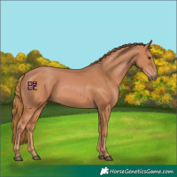 Horse Color:Chestnut 