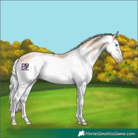 Horse Color:Silver Amber Champagne Dun Splash Frame 