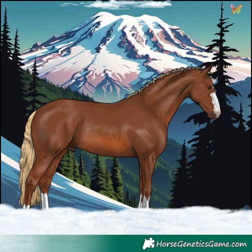 Horse Color:Chestnut Rabicano 