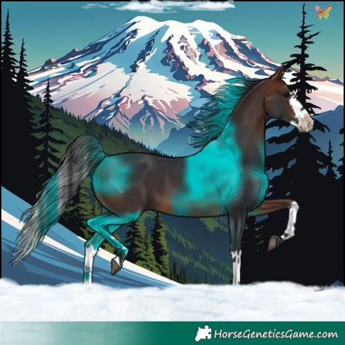 Horse Color:Brown Splash 