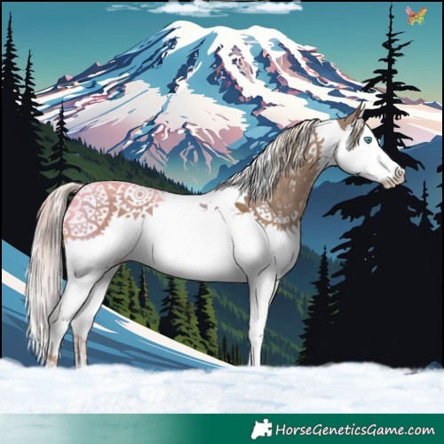 Horse Color:Chocolate Palomino Splash Tobiano 