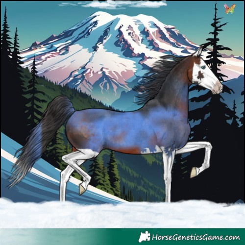 Horse Color:Brown Splash 