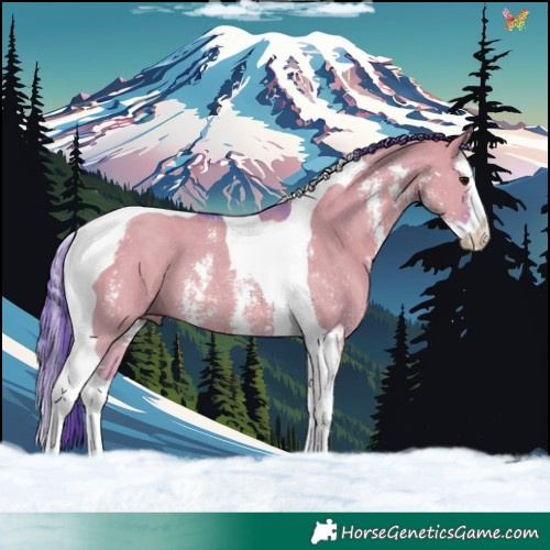 Horse Color:Watercolor Grullo Sabino Splash Tobiano Rabicano 