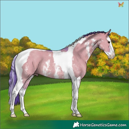 Horse Color:Watercolor Grullo Sabino Splash Tobiano Rabicano 