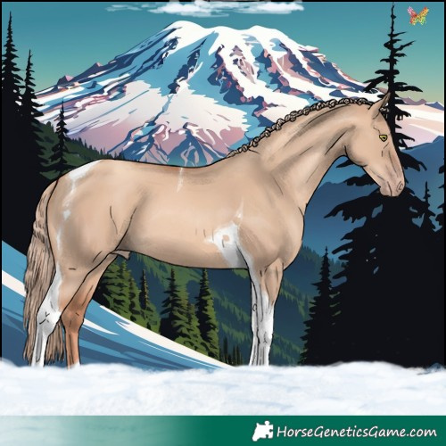 Horse Color:Gold Champagne Dun Tobiano 