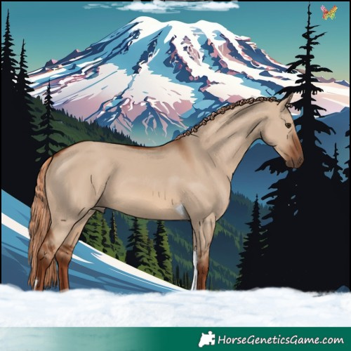 Horse Color:Red Dun Tobiano 