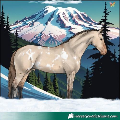 Horse Color:White Spotted Bay Dun Varnish 