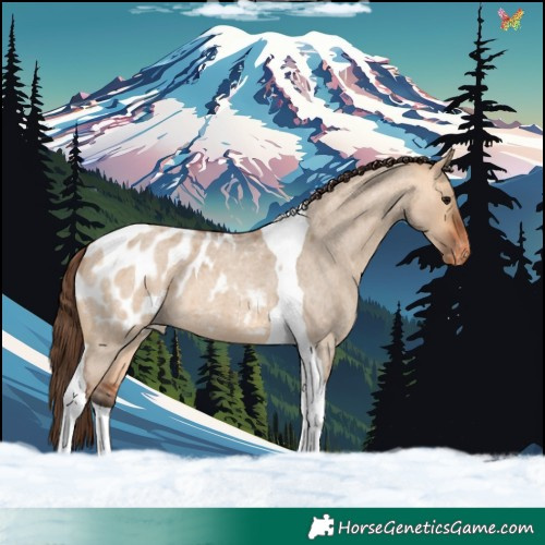 Horse Color:Bay Roan Dun Tobiano Appaloosa 