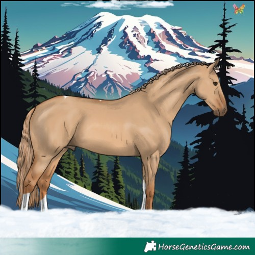Horse Color:Red Dun Tobiano 