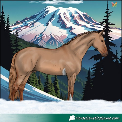 Horse Color:Red Dun Tobiano Rabicano 