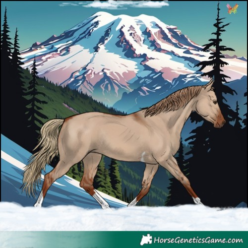 Horse Color:Red Dun Tobiano Rabicano 