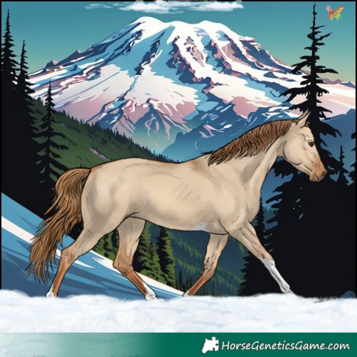 Horse Color:Red Dun Tobiano Rabicano 