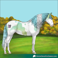 Horse Color:Watercolor Brown Splash Tobiano