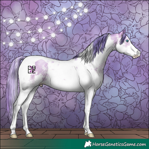 Horse Color:Watercolor Buckskin Pearl Sabino Splash Tobiano 