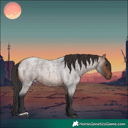 Horse Color:Brown Roan 