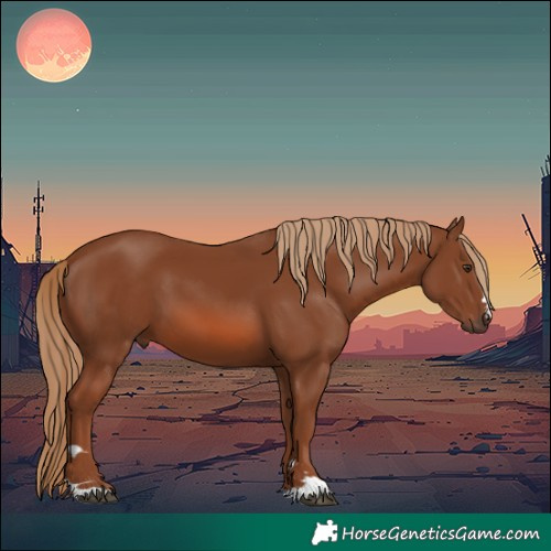 Horse Color:Chestnut 