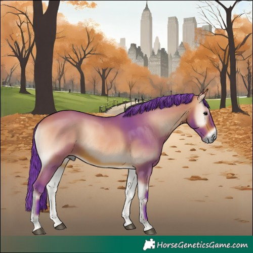 Horse Color:Watercolor Bay Onyx 