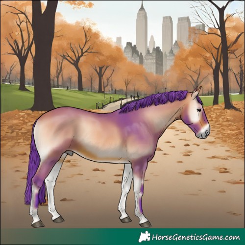 Horse Color:Watercolor Bay Onyx 