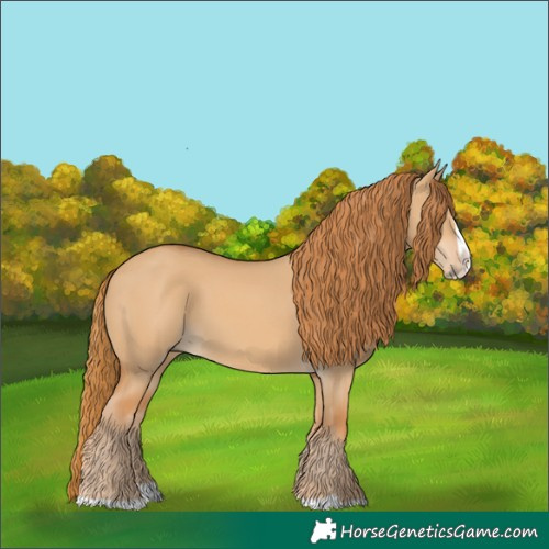 Horse Color:Red Dun Splash
