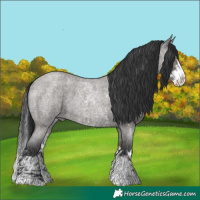 Horse Color:Grullo Roan Sabino Splash and Grullo Roan Sabino Splash