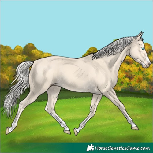 Horse Color:Cremello Splash  and Cremello Splash 